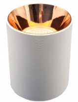 Eliante Tepar COB Light – Recessed & Surface – Surface Cylinder