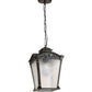 Eliante by Jainsons Lights | Black Iron Hanging Light | GATE-LITE-HL