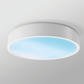 JS-LYT_Sky Light Ultra-Thin & Deep Surface LED Downlight Collection | GL-8091/8092/XD/8001