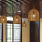 JS-GL-5154-1S - Cane Brown Metal Hanging Light