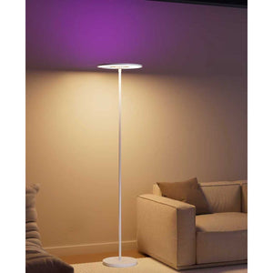 400CR-WH Led Floor Lamp
