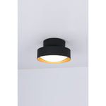 0063C-S Led 24W Hanging Light