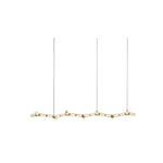 01622-ZM Led Hanging Light