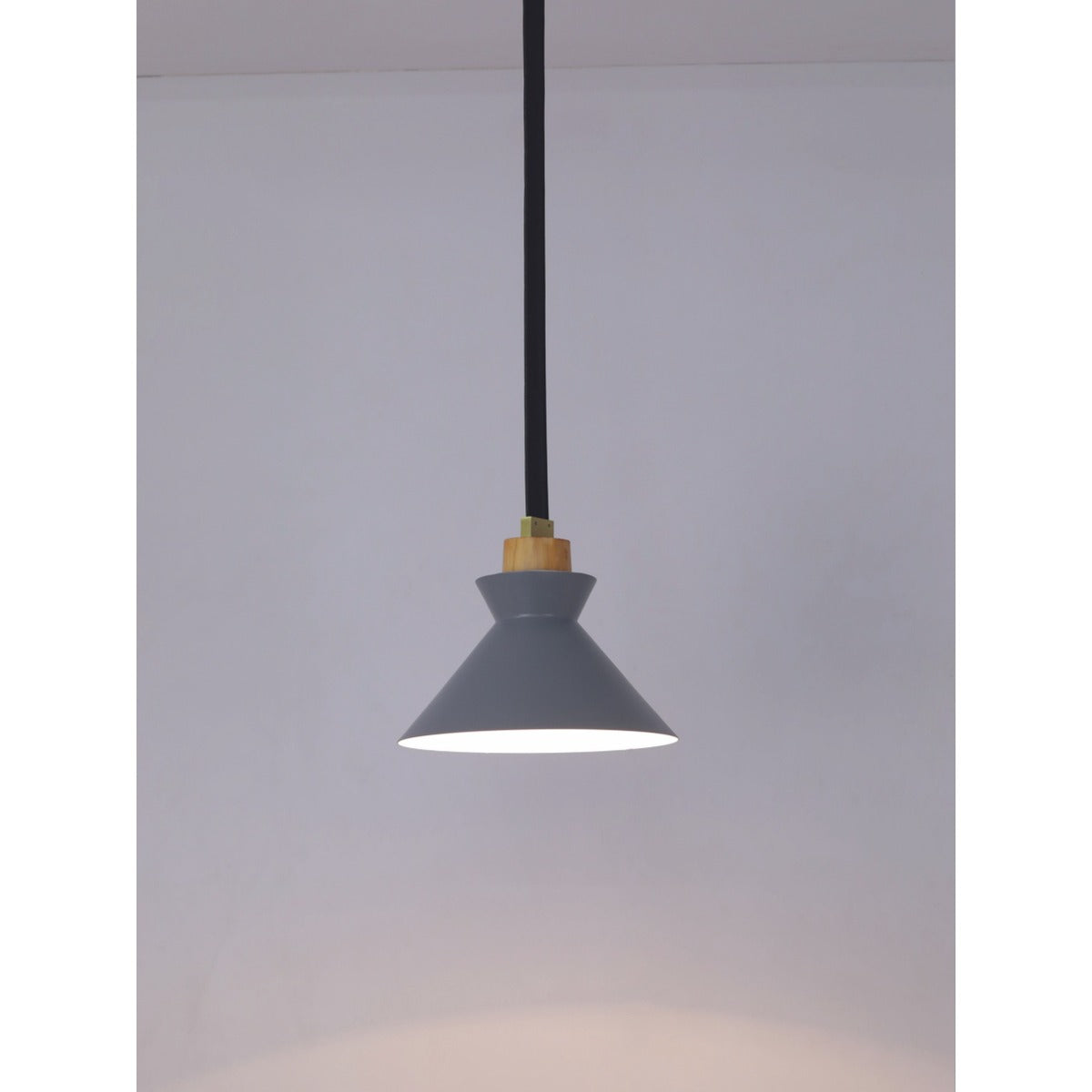 06016-1 1XE27 Hanging Light