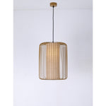10081-1 1XE27 Hanging Light
