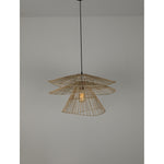 10125-1 1XE27 Hanging Light