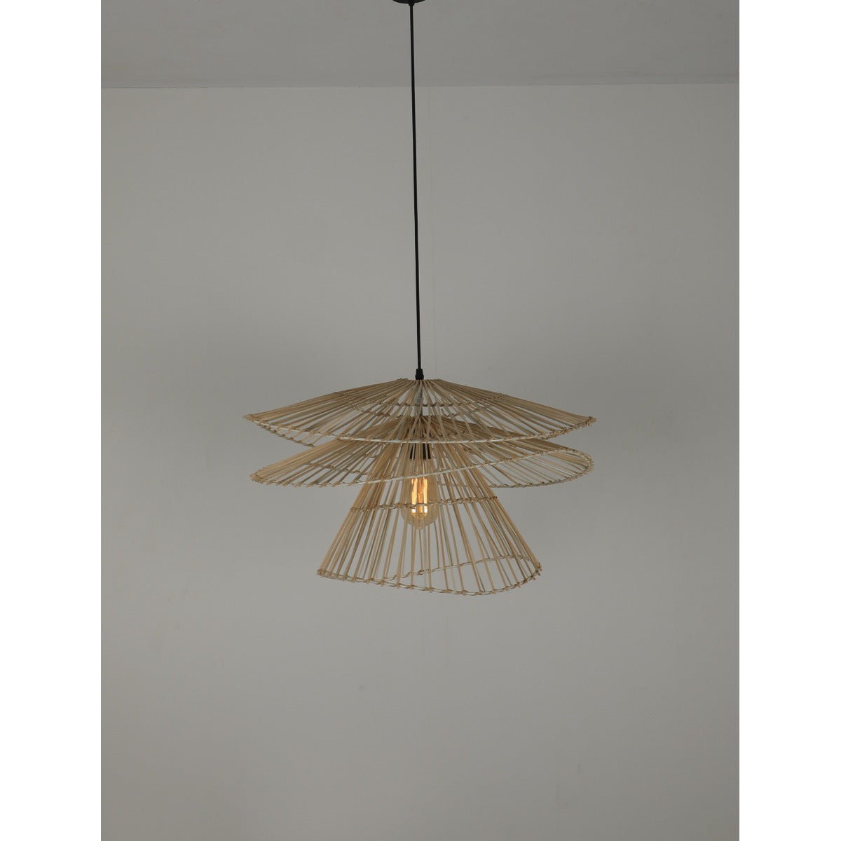 10125-1 1XE27 Hanging Light