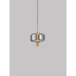 10703-1 Led Hanging Light