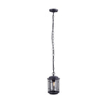 1301C 1XE27 Hanging Light