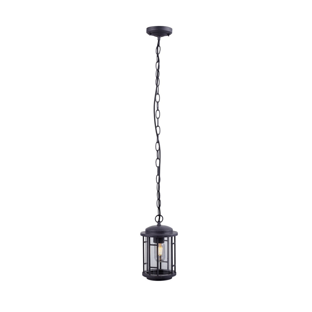 1301C 1XE27 Hanging Light