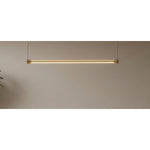 1961-1.2M Led Hanging Light