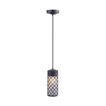 2006C-2 1XE27 Hanging Light
