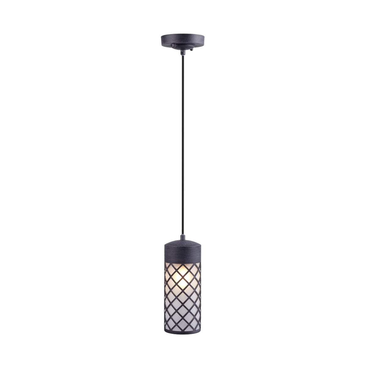 2006C-2 1XE27 Hanging Light