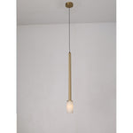 20257-B 1XG9 Hanging Light
