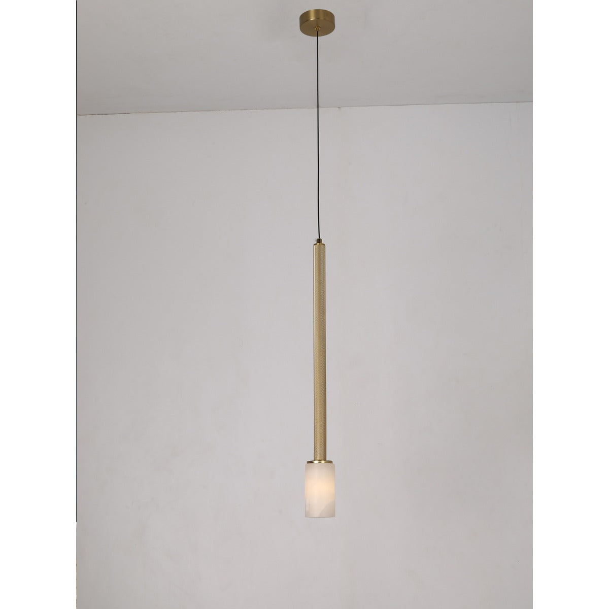 20257-B 1XG9 Hanging Light
