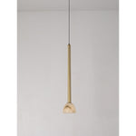 20257-C 1XG9 Hanging Light
