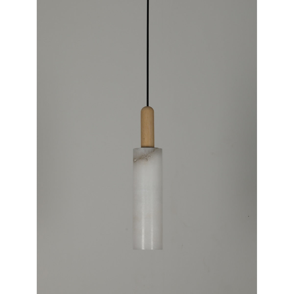2028-WD Led Hanging Light