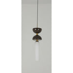 20294-1-CF 1XG9 Hanging Light