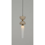 20294-1 1XG9 Hanging Light