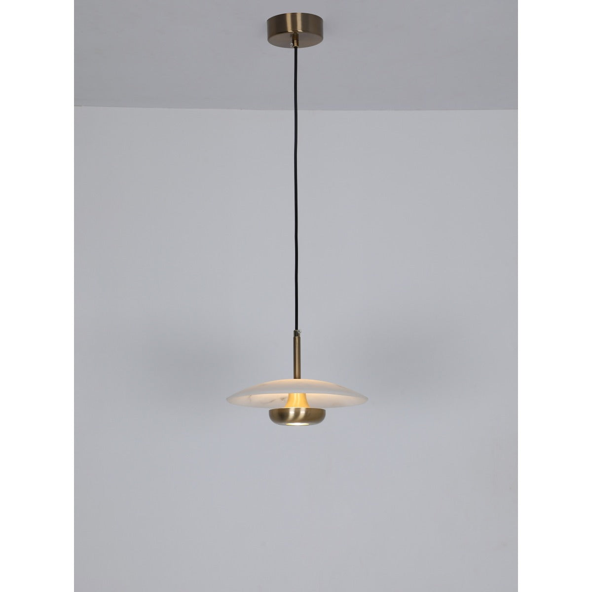 20400-H Led Hanging Light