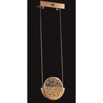 2210-1 Led Hanging Light