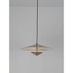 2218-1 Led Hanging Light