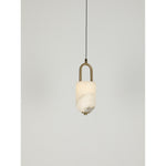 23922-H Led Hanging Light