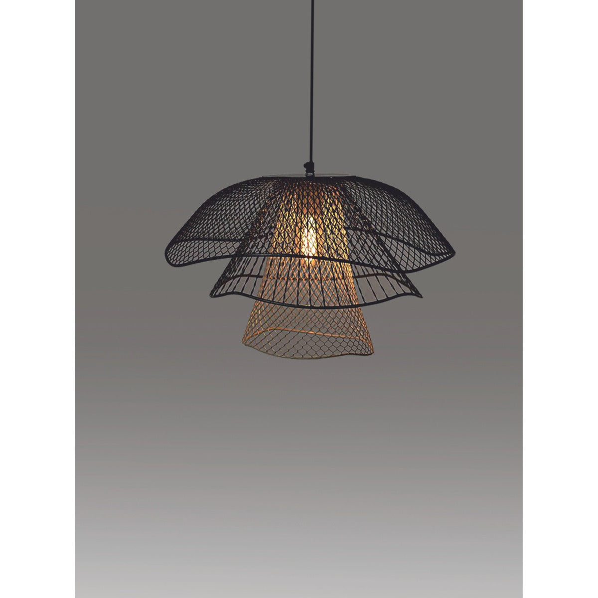 26073-1 1XE27 Hanging Light