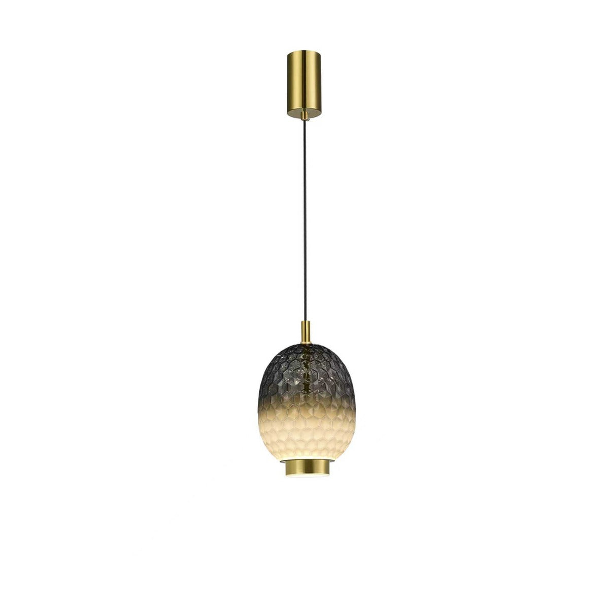 2885-2 Led Hanging Light