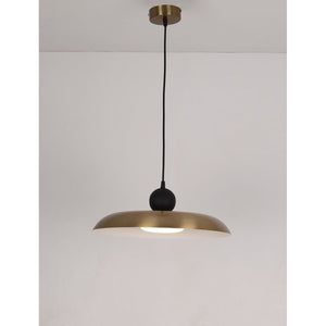 3555-H Led Hanging Light