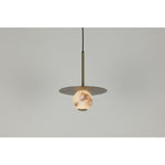 38737 Led Hanging Light