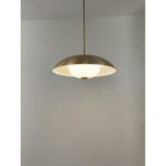 38740-H Led Hanging Light