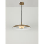 38741-H Led Hanging Light