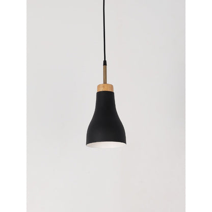 6144-1 1XE27 Hanging Light