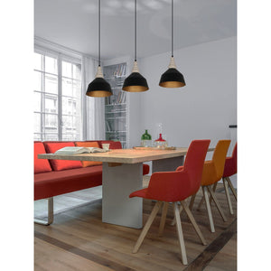JS-GL-6168-1 - Black & Gold Metal & Wood Modern Hanging Light