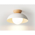 7080W-C 1XE27 Hanging Light