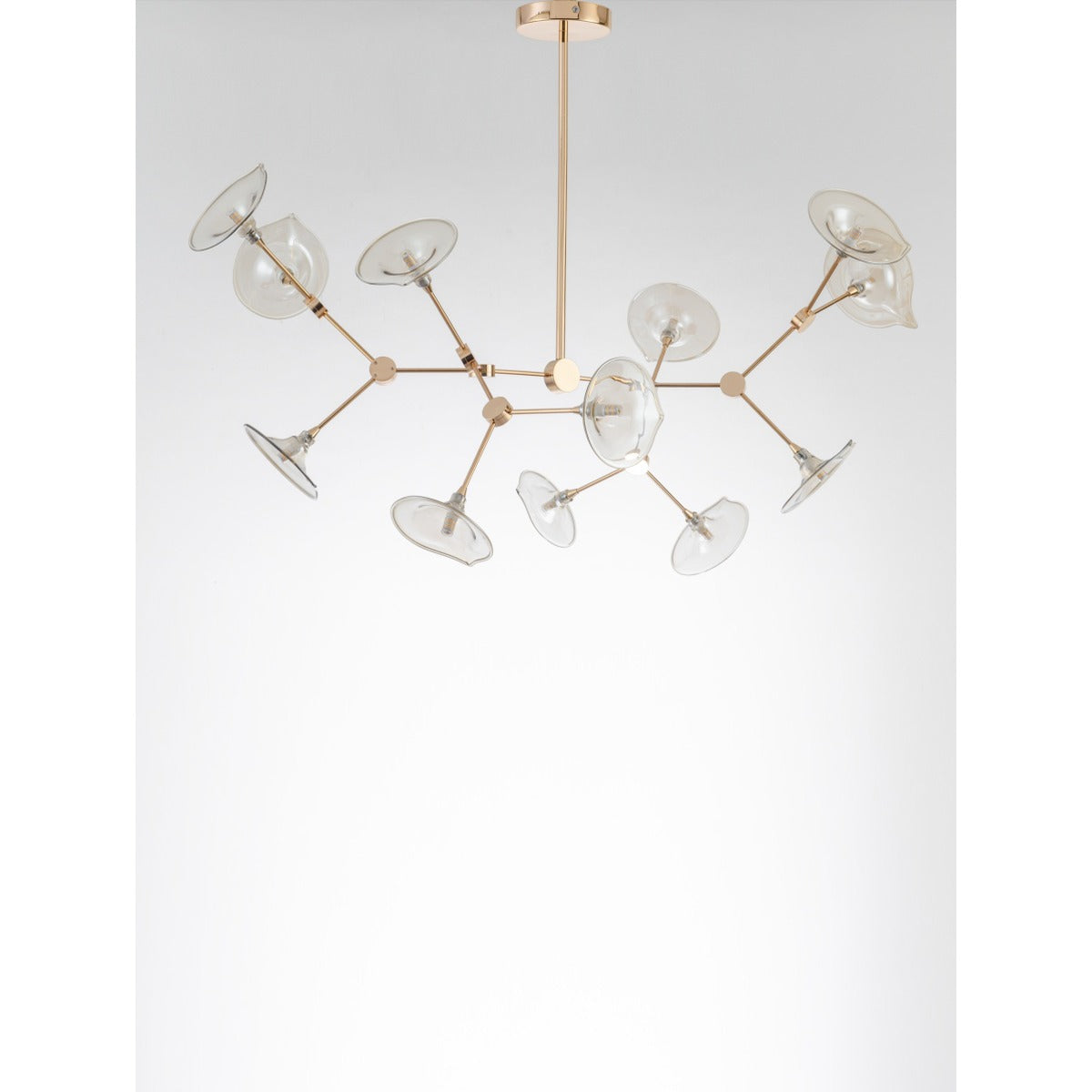 8109-12 12XG9 Hanging Light