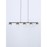 8203-5 5XG9 Hanging Light