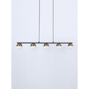 8203-5 5XG9 Hanging Light