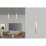 8806-1 1XG10 Hanging Light