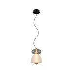 8809-2 Led Hanging Light