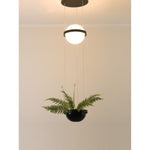 910-1 Led Hanging Light