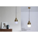 MD3176D LED Hanging Light