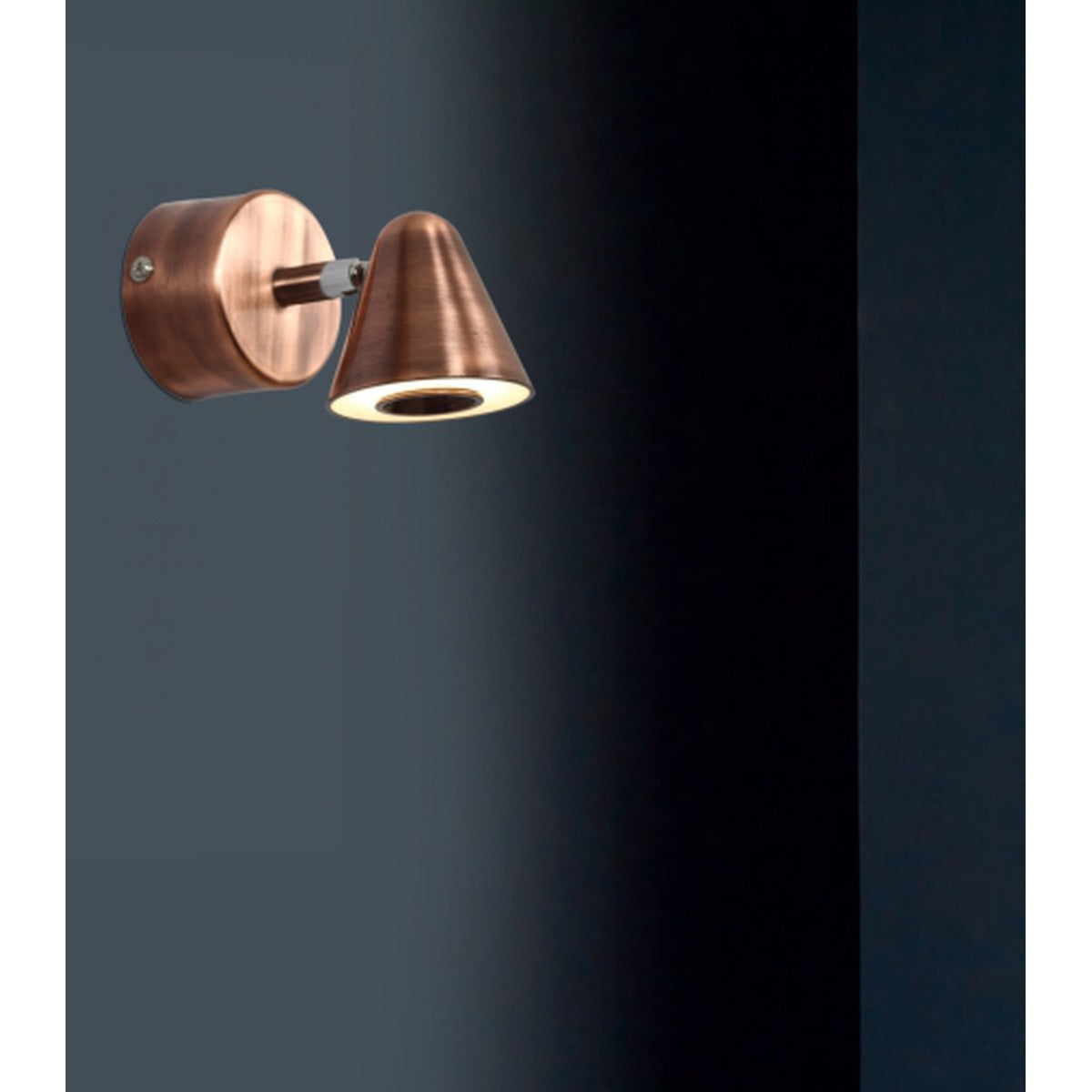 0050-1AC LED6W Hanging Light