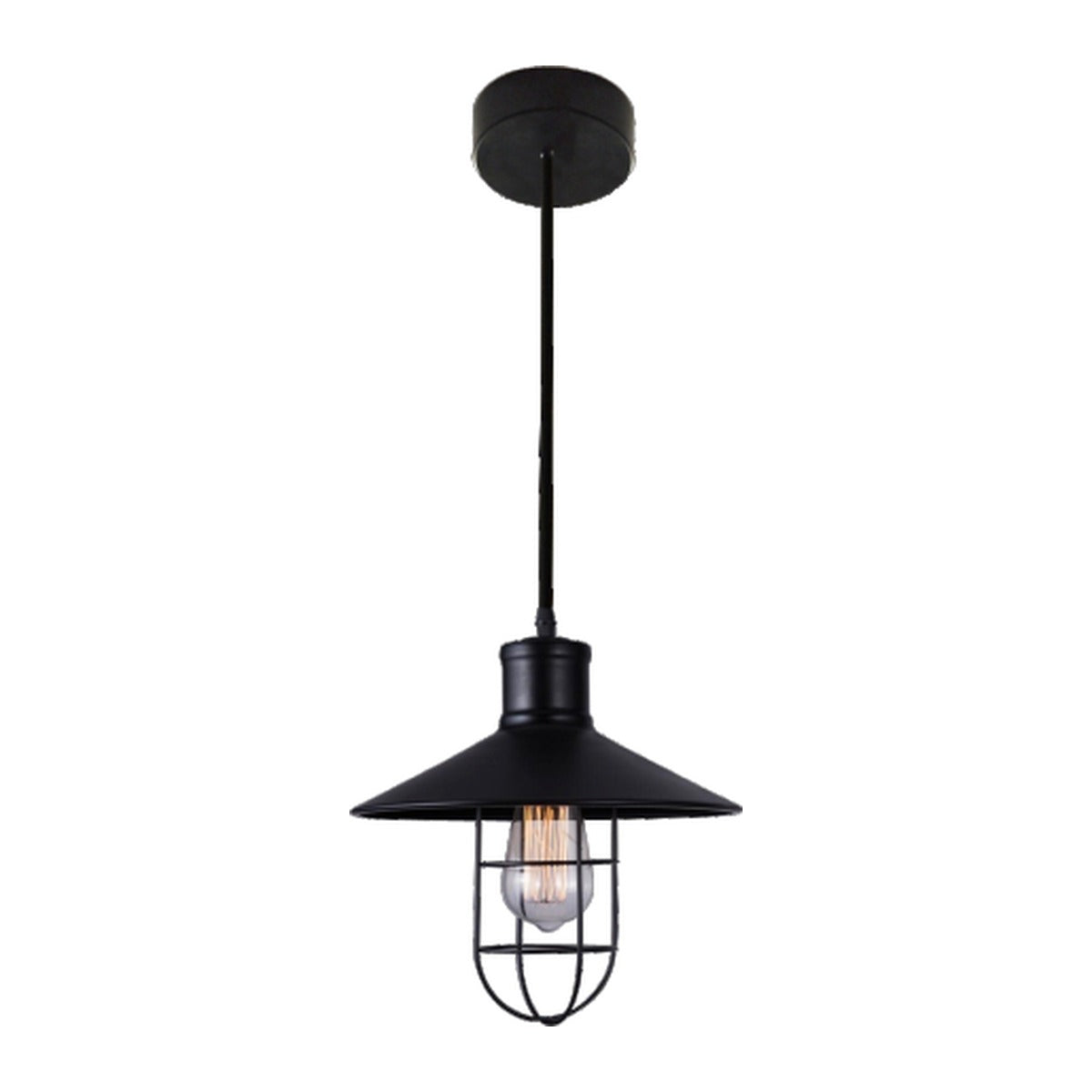006-H 1XE27 Hanging Light