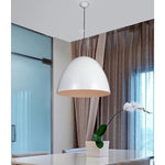 024-1WH 1XE27 Hanging Light
