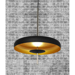 15400-1BK LED Hanging Light