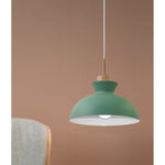 16017-GR 1XE27 Hanging Light