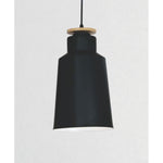 16019-195 1XE27 Hanging Light