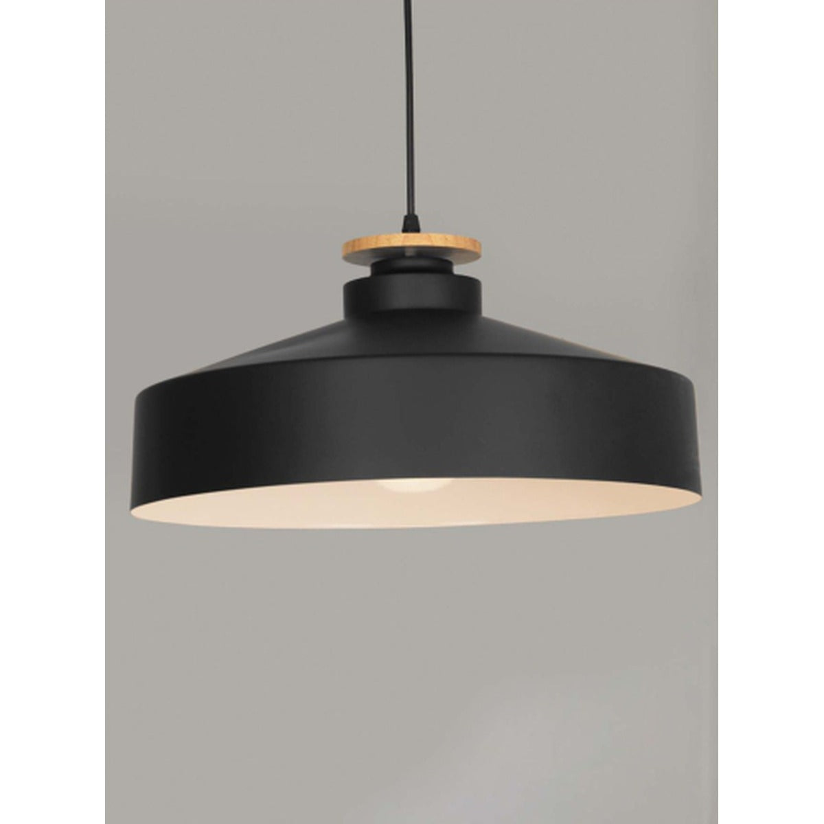 16019-400 1XE27 Hanging Light
